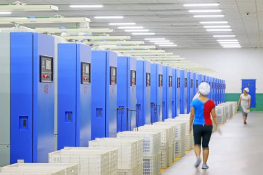 Luannan - 31 Mayıs 2015, Luannan County, Hebei, Çin