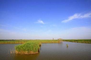 Hebei kaofeidyan golf sahası