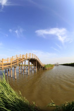Wetland Park manzarası, fotoğrafa yakın çekim