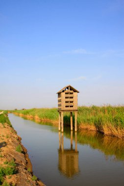 Wetland Park 'ta yapay kuş yuvası