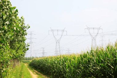 Tarlalarda elektrik kulesi, yakın çekim