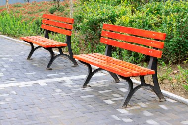 Parktaki tahta sandalyeler.