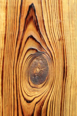 Sarsıntılı tahıl, göz şekli