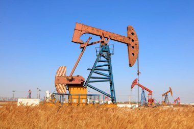 Petrol sahasında mavi gökyüzünün altında pompalama ünitesi ve kamış