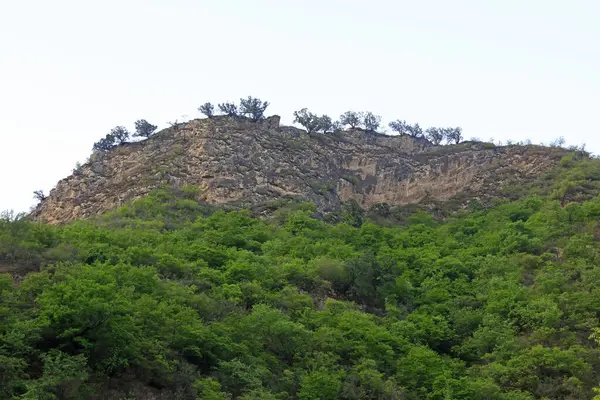 Dağların doğal ortamı