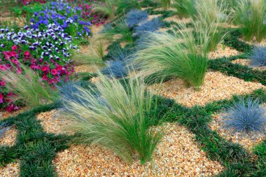 Stipa botanik gardında