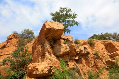 Yazın doğal dağ manzarası