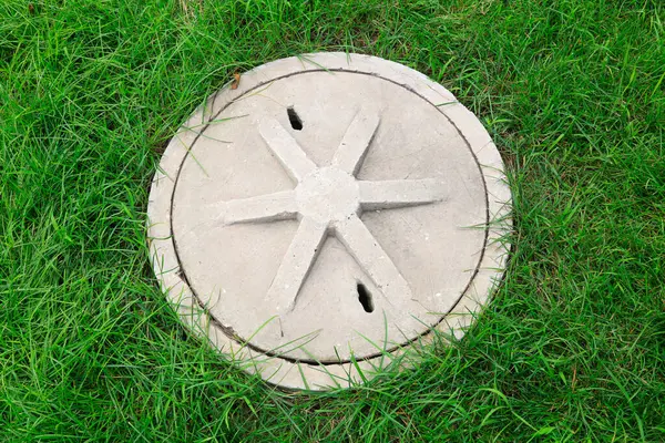 Çimento kaplamaları çimenlikte