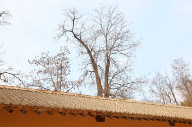kerhane çatısı, fotoğrafa yakın çekim