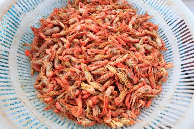 Köpek karidesi, Çin 'in Bohai deniz bölgesinde özel su ürünleri.