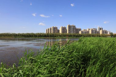 Su parkı doğal manzarası, Luannan County, Hebei Eyaleti, Çin