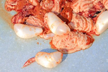 Yüzme mesanesi ve iç organlar üst üste yığılmış, fotoğrafa yakın. 