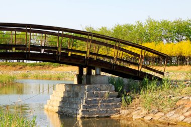 Parktaki ahşap kemer köprüsü, fotoğrafa yakın çekim