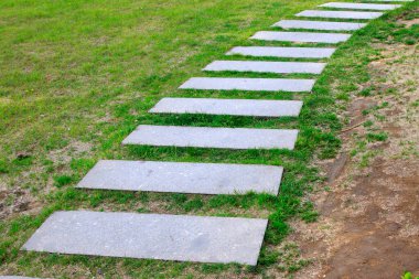 Parktaki taş patika, fotoğrafa yakın çekim.