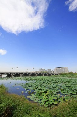 LUANNAN COUNTY - 15 Eylül 2014 'te Kuzey Nehri Parkı manzarası, Luannan County, Hebei Eyaleti, Çin