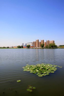 LUANNAN COUNTY - 15 Eylül 2014 'te Luannan ilçe binası manzarası, Luannan County, Hebei Eyaleti, Çin