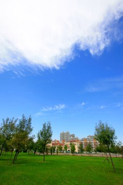 LUANNAN COUNTY - 15 Eylül 2014 'te Luannan ilçe binası manzarası, Luannan County, Hebei Eyaleti, Çin