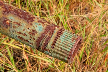 Çalılıklardaki paslı metal borunun oksitlenmesi, fotoğrafın yakın plan çekilmesi.