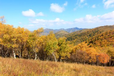 Dağ doğal manzarası, fotoğrafa yakın çekim