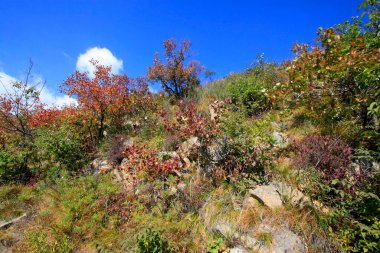 Dağ doğal manzarası, fotoğrafa yakın çekim