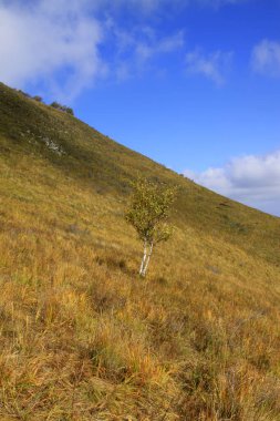 Dağ doğal manzarası, fotoğrafa yakın çekim
