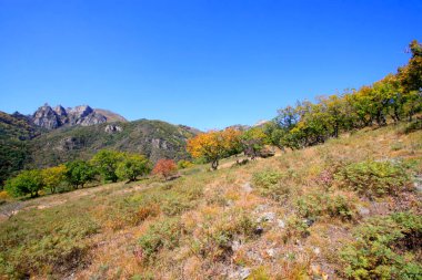 Doğal manzara, fotoğrafa yakın çekim.
