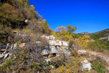 Doğal manzara, fotoğrafa yakın çekim.