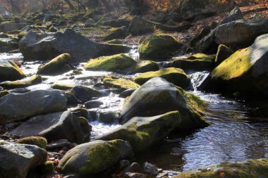 Rock and Creek, fotoğrafa yakın çekim