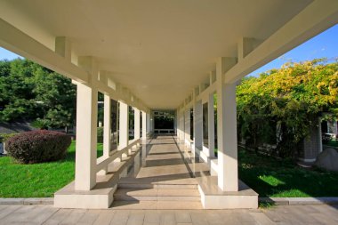 Bir parkta koridor manzarası mimarisi