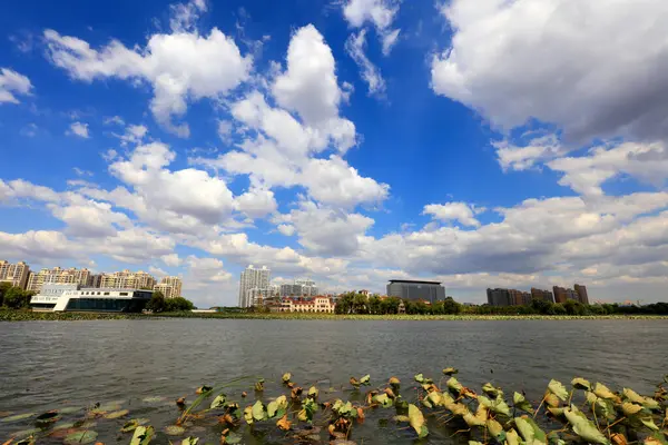 Liman Parkı Mimari Sahnesi, Çin