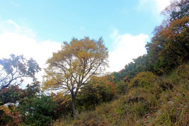 Dağ doğal manzarası, fotoğrafa yakın çekim