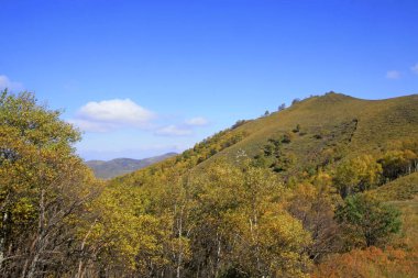 Dağ doğal manzarası, fotoğrafa yakın çekim
