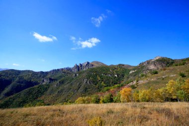 Doğal manzara, fotoğrafa yakın çekim.