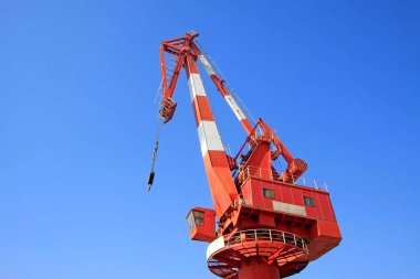Mavi gökyüzü arkaplanının altında turna, fotoğrafa yakın çekim