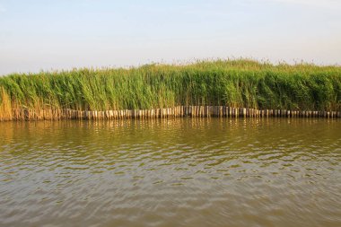 Hebei kaofeidyan golf sahası