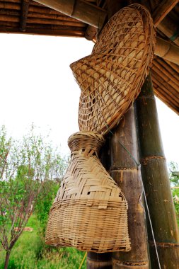 Bambu kabı ve ha