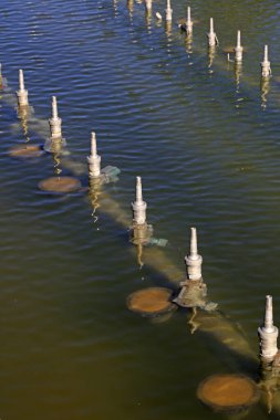 Par 'daki çeşme tesisleri