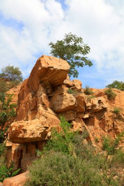 Yazın doğal dağ manzarası