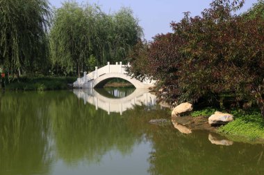 Parktaki köprüler ve yeşil bitkiler, fotoğrafa yakın çekim