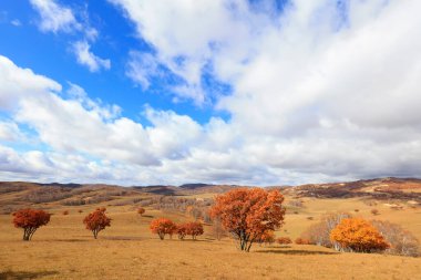 İç Moğolistan, Çin 'deki Ulan ovasının manzarası.