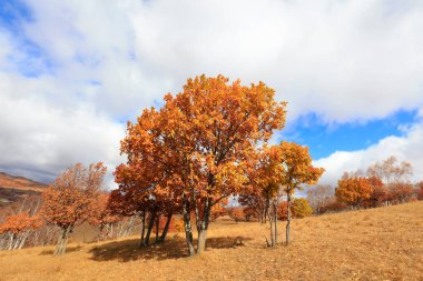 İç Moğolistan, Çin 'deki Ulan ovasının manzarası.
