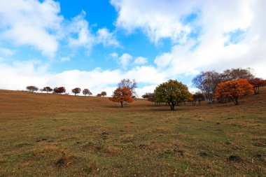 İç Moğolistan, Çin 'deki Ulan ovasının manzarası.