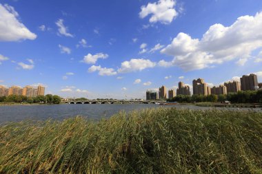 Liman Parkı Mimari Sahnesi, Çin