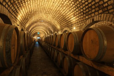 Şarap mahzenlerinde meşe fıçıları, Changli County, Hebei Eyaleti, Çin