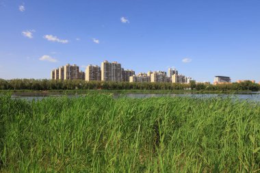Su parkı doğal manzarası, Luannan County, Hebei Eyaleti, Çin