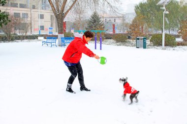 Luannan County - 22 Kasım 2015: Kırmızılı ve bir köpek yavrusuyla oynayan kadın, Hebei Eyaleti, Çin, 22 Kasım 201