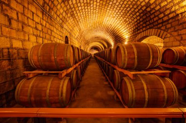 Şarap mahzenlerinde meşe fıçıları, Changli County, Hebei Eyaleti, Çin