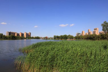 Su parkı doğal manzarası, Luannan County, Hebei Eyaleti, Çin