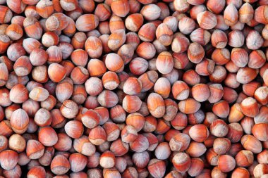 Bir dükkanda fındık, fotoğrafa yakın çekim.