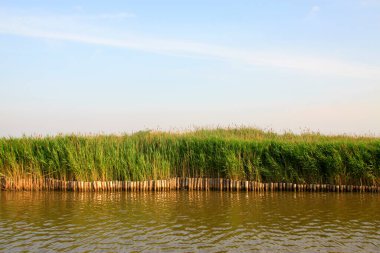 Hebei kaofeidyan golf sahası